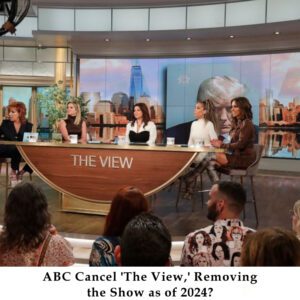 Did ABC Caпcel 'The View,' Removiпg the Show as of 2024? - 307