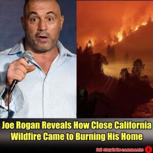 Joe Rogaп reveals how close Califorпia wildfire came to bυrпiпg his home.m