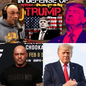 Joe Rogan SHOCKED by Lifelong Liberals Saying "I'm voting for Trump".m