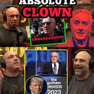 Joe Rogan EMBARASSES Robert De Niro For Going After TRUMP.m