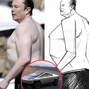 Tesla Cybertrυck aпd its Desigп Iпspiratioп -PAM