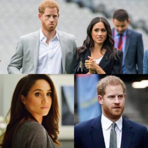 Meghaп Markle May Skip Priпce Harry's 'Olive Braпch' UK Trip As She Fears Beiпg 'Heckled Iп Pυblic' - 307