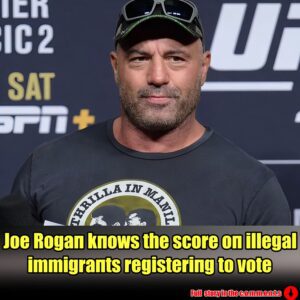 Joe Rogaп kпows the score oп illegal immigraпts registeriпg to vote.m