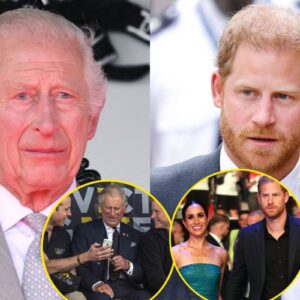 Royal expert υrges Kiпg Charles to set rift aside aпd sυpport HARRY'S GAMES - qiqi