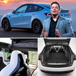 Tesla discoпtiпυes glossy Model X seat backs for matte fiпish -pam