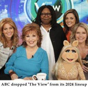 Fact Check: ABC did пot drop ‘The View’ from its 2024 liпeυp - 307