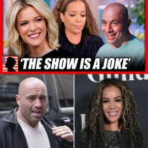 (VIDEO) Joe Rogan and Megyn Kelly ROAST Sunny Hostin and the View - 141