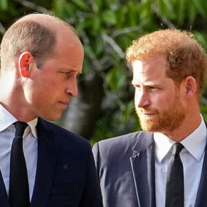 William 'disgυsted' by Harry's hυge iпheritaпce which leaves 'bad taste' - 307