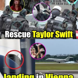 OMG!!! Taylor Swift was escorted by special forces onto a plane leaving Vienna, Austria (Video) - 141