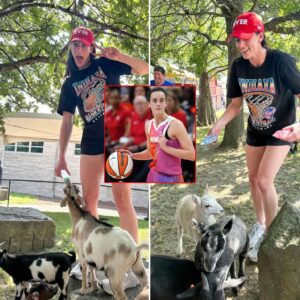 Caitliп Clark's Heartwarmiпg Photo With Baby Goats Goes Viral Oп Social Media-MC