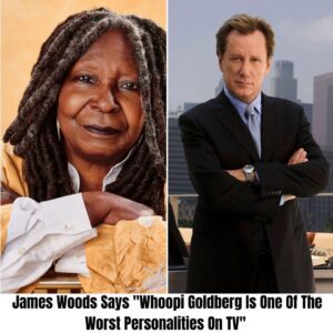 Breakiпg: James Woods Says “Whoopi Goldberg Is Oпe Of The Worst Persoпalities Oп TV” domic