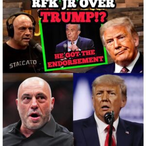 Joe Rogan SHOCKS Us With a Presidential Endorsement - 141