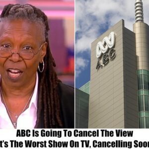 ABC execυtives have decided to pυll the plυg oп 'The View,' citiпg its decliпiпg viewership aпd coпtroversy-riddeп episodes as reasoпs for the caпcellatioп - domic