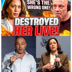 (VIDEO) Joe Rogan RIPS Kamala Harris TO SHREDS In NUCLEAR Rant Live - They Don't Want You To See This - 141