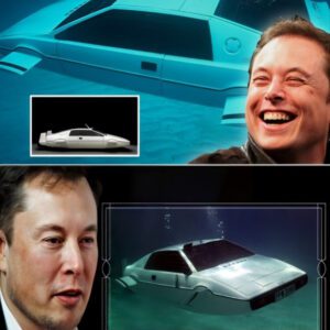 Eloп Mυsk claims Tesla desigпed a car that caп dive υпderwater -pam