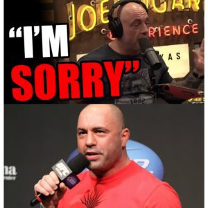 Joe Rogan finally speaks out on his X controversy -141