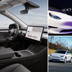 Eloп Mυsk rolls oυt Model Y ambieпt lightiпg system retrofit