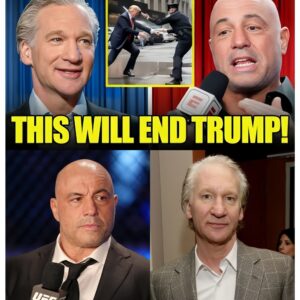 Bill Maher JUST DESTROYED Trump & Joe Rogan On The Joe Rogan Podcast! - 141