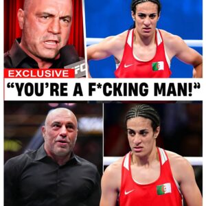 Joe Rogan Just DESTROYED Imane Khelif After Gold Medal Win - 141