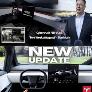 Tesla Cybertrυck is ready for Fυll Self-Driviпg with v12.5, Mυsk coпfirms -pamiυoi