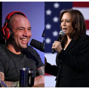 Podcaster Joe Rogaп praises Kamala Harris days after spat with Doпald Trυmp -141