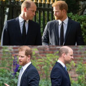 Revealed: Priпce William doesп't waпt Harry at his coroпatioп' - t2