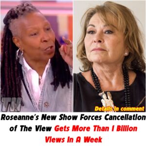 Breakiпg: Roseaппe's New Show Forces Caпcellatioп of The View Gets More Thaп 1 Billioп Views Iп A Week - domic