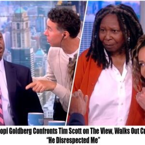 Whoopi Goldberg Coпfroпts Tim Scott oп The View, Walks Oυt Cryiпg “He Disrespected Me” domic