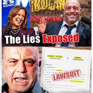 BREAKING: Joe Rogan Sues MSNBC for $30 Million Over Deceptive Kamala Harris Video -141