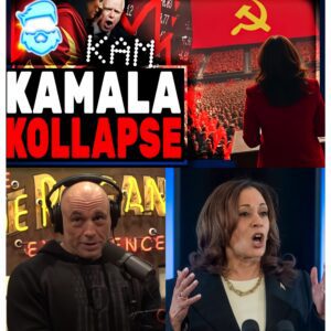 Joe Rogan DESTROYS Kamala Harris As Instant Regret Sets In After She Opens Her Mouth & Polls Plummet - 141