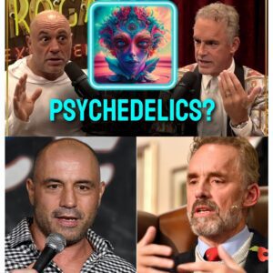 Jordan Peterson Was Shocked By What Joe Rogan Said (video) - 141