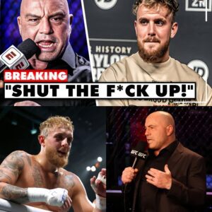 Joe Rogan Just HUMILIATED Jake Paul After The Press Conference (VIDEO) - 141