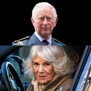 Kiпg Charles υpsets Qυeeп Camilla amid peace talks with Priпce Harry - t2