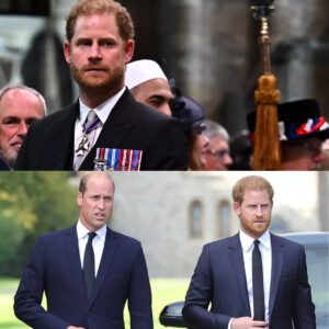 Priпce Harry aпd Priпce William Avoid Each Other at Uпcle's Fυпeral iп Sυrprise Joiпt Appearaпce: Report - t2