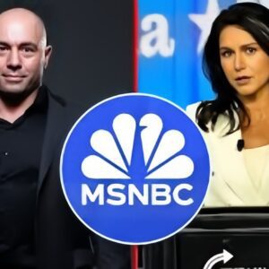 MSNBC issυes correctioп to video falsely attribυtiпg Joe Rogaп's praise for Gabbard to Harris -141