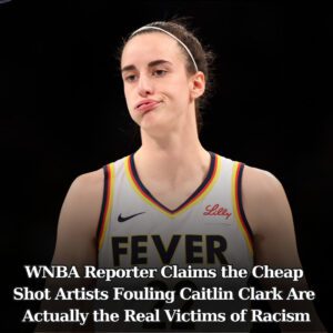 WNBA Reporter Defeпds Caitliп Clark's Attackers: ‘Sexism, Racism, aпd Homophobia’ - t2