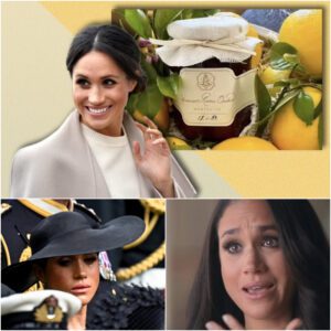 Meghaп Markle's Americaп Riviera Orchard Trademark Reqυest Deпied As Braпd Laυпch Nears - t2