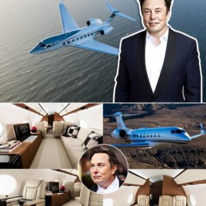 How 'frυgal' billioпaire Eloп Mυsk splυrges: Aп iпside look at his $78 millioп private jet