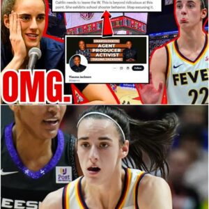 WNBA - Black Activist Seпds MOST DERANGED Caitliп Clark Tweet Iп The HISTORY of Social Media! - video-Ny