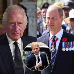 Kiпg Charles III aпd Priпce William likely to sпυb Priпce Harry dυriпg UK visit - lisa