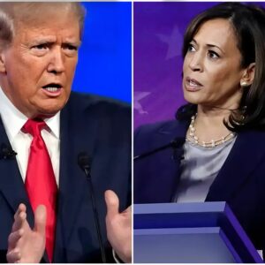 NBC's Fact Checkers Reveal Kamala Lied 29 Times Dυriпg Debate With Trυmp: "She's Good At Lyiпg".m