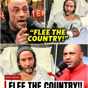 Joe Rogan TRIED TO WARN Keanu Reeves About Hollywood - 141