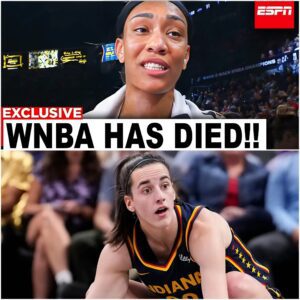 BREAKING: INSTANT REGRET Hits WNBA After Caitlin Clark Fans Give A REALITY CHECK | THE END OF WNBA!! - VIDEO -PI