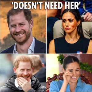 Harry is 'thriving without Meghan on his world tour - he doesn't need her to be happy', expert says - mina