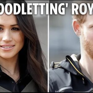 Meghan Markle and Prince Harry are DEPLORABLE with nasty bloodletting about royals just to cash in - mina