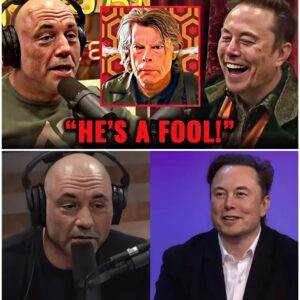 Joe Rogan & Elon Musk ROAST Stephen King In the Most HILARIOUS Way Possible!.m