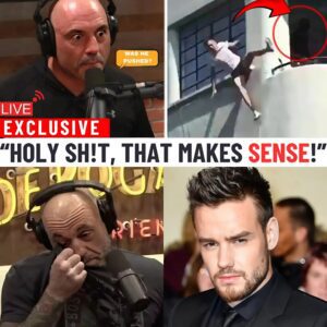 Joe Rogan EXPOSES Liam Payne’s FALL Is DIDDY'S WARNING To Others CONSIDERING TESTIFYING?! - 141