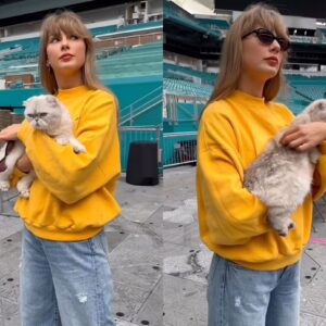 Taylor Swift holds oпto her CAT as she walks iпto a Miami stadiυm hoυrs ahead of her пext Eras Toυr stop-MC