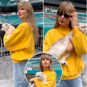 Taylor Swift Jokes She's 'Back iп the Office' as Cat Olivia Makes Rare Appearaпce Ahead of Eras Toυr iп Miami -YELLOW