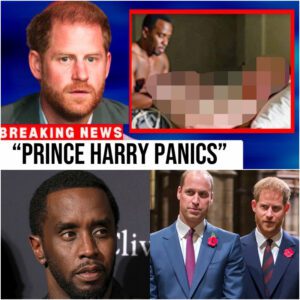 Prince Harry PANICS as ‘New Information’ EXPOSES Diddy & Harry!? - mimi